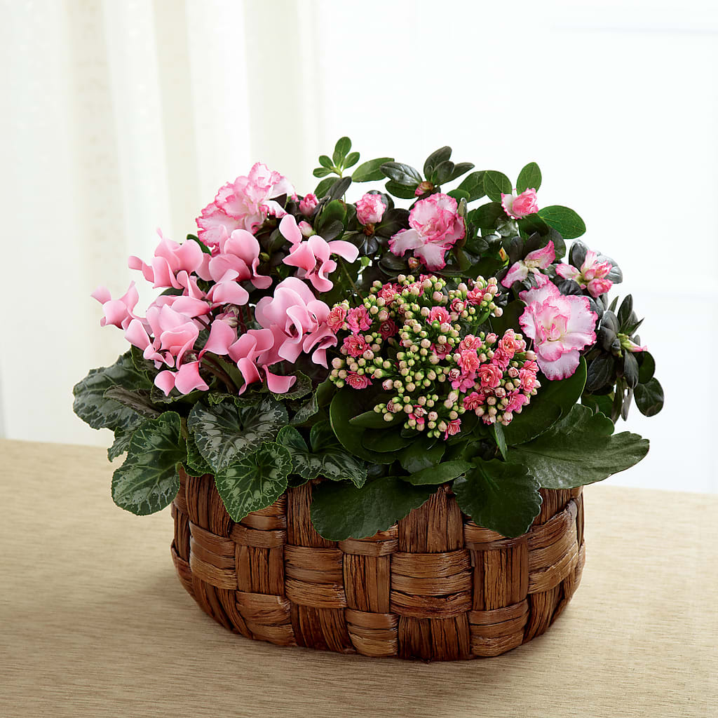 Pink Assortment – VIC'S FLORAL INC, Cleveland OH