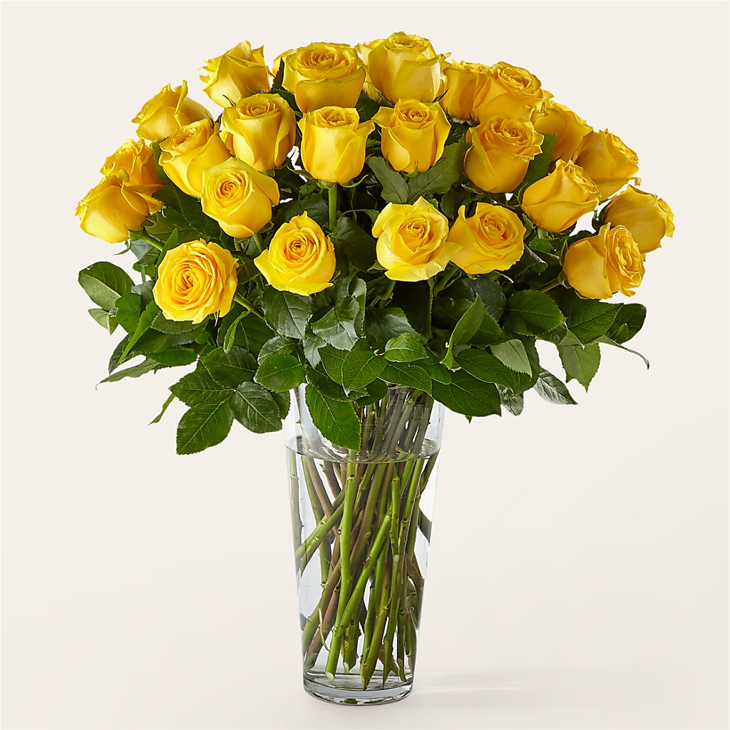 Long Stem Yellow Rose Bouquet – VIC'S FLORAL INC, Cleveland OH