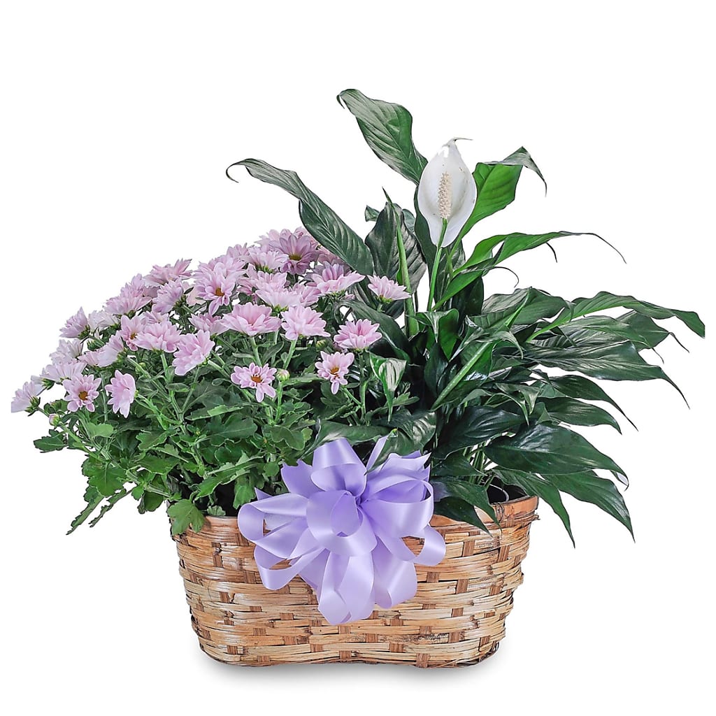Blooming Peacefully – VIC'S FLORAL INC, Cleveland OH