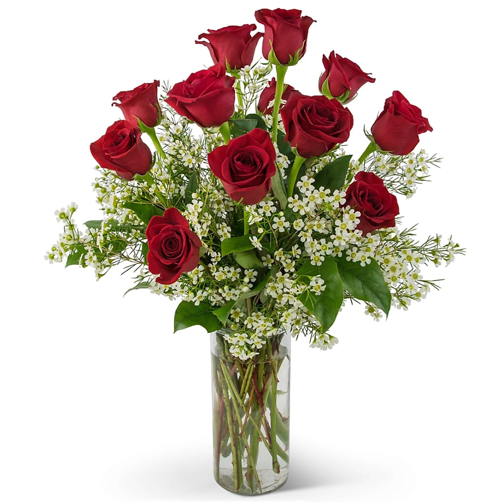 Swoon Over Me Dozen Red Roses – VIC'S FLORAL INC, Cleveland OH