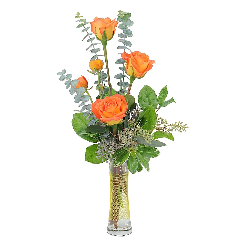 Orange Simplicity