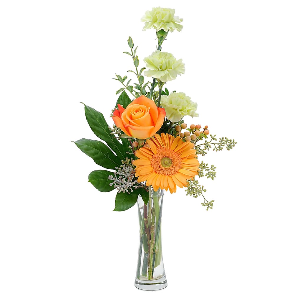 Orange U Glad