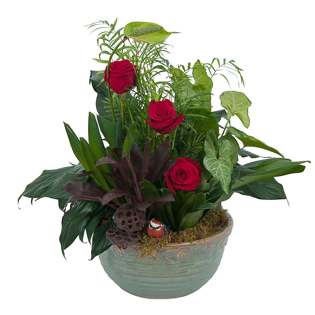 Rosy Dish Garden