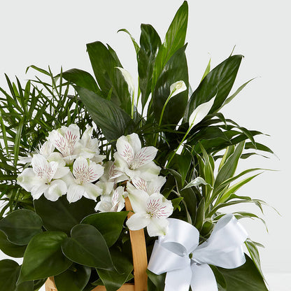 Peace & Serenity Dishgarden – VIC'S FLORAL INC, Cleveland OH