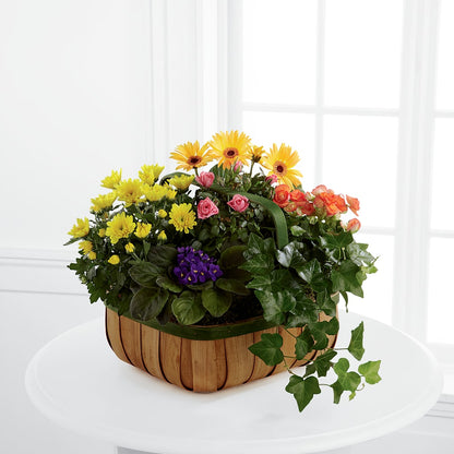 Gentle Blossoms Basket – VIC'S FLORAL INC, Cleveland OH