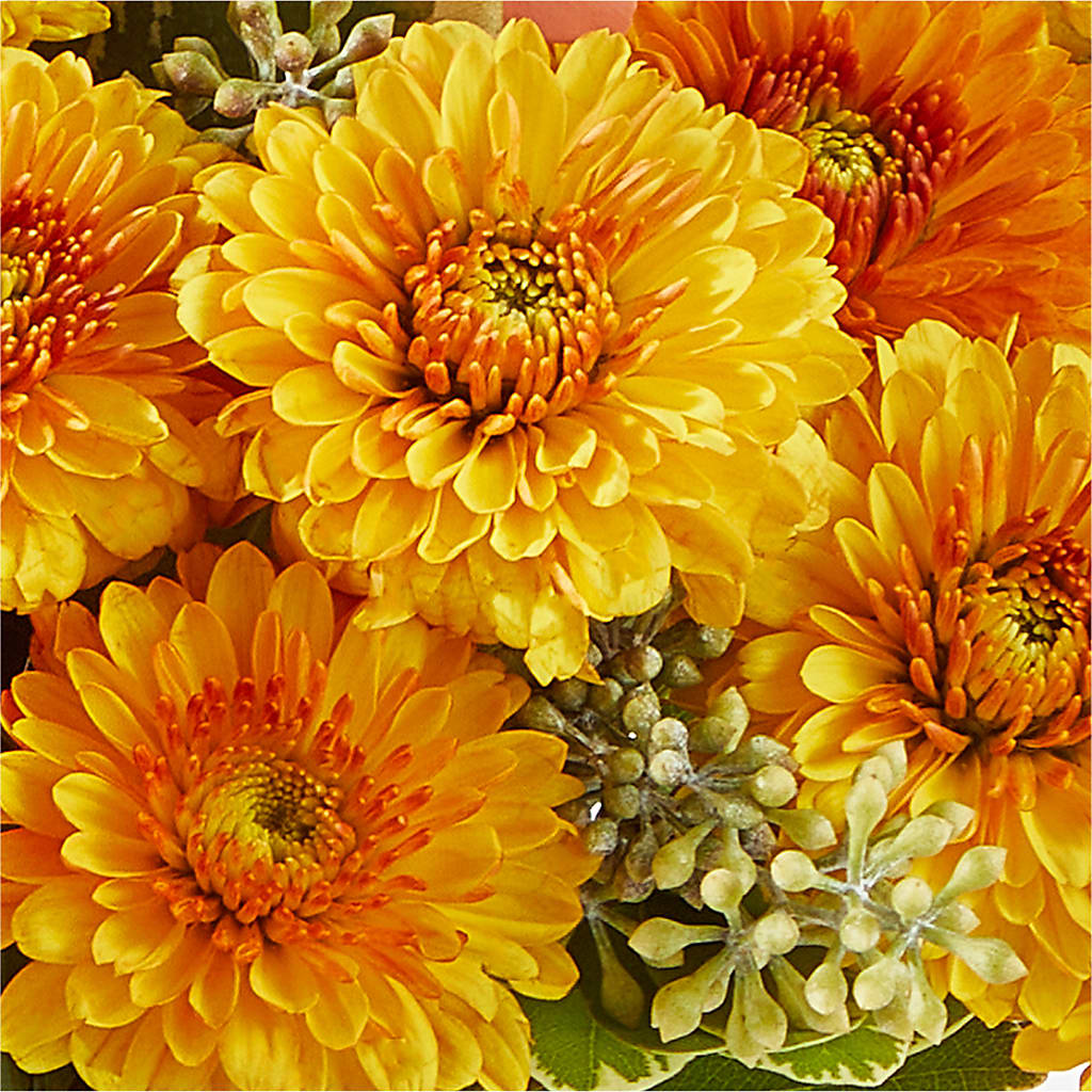 Peachy Pumpkin – VIC'S FLORAL INC, Cleveland OH