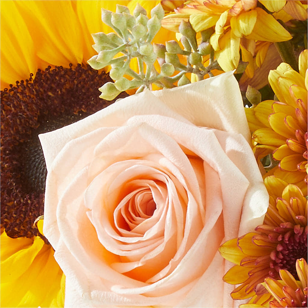 Pumpkin to Talk About Bouquet – VIC'S FLORAL INC, Cleveland OH