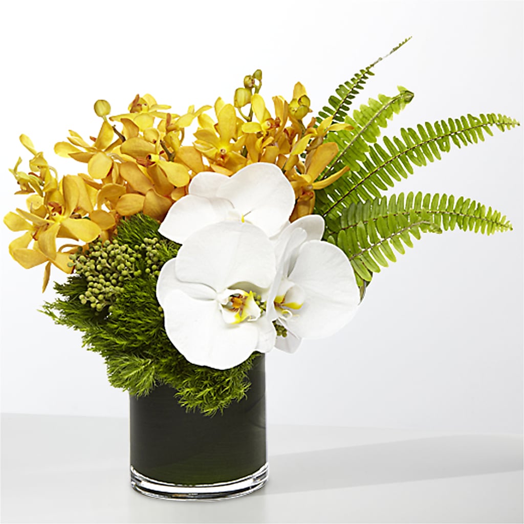 The Tropics – VIC'S FLORAL INC, Cleveland OH