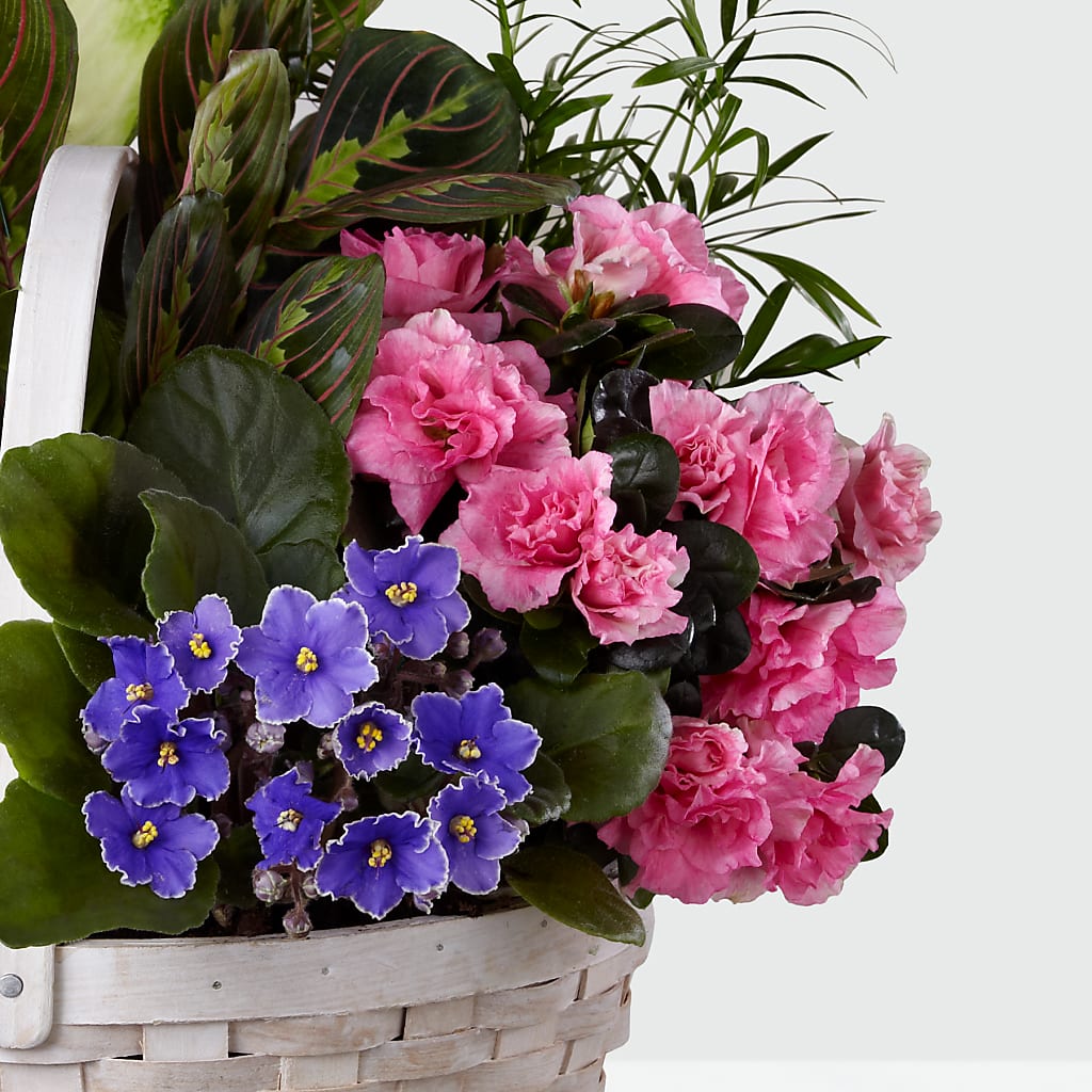 Peaceful Garden Planter – VIC'S FLORAL INC, Cleveland OH