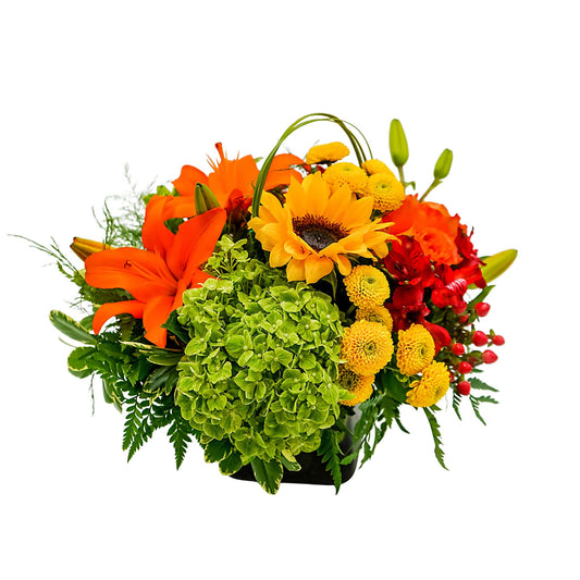 Harvest Earth