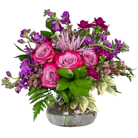 Mauve is Rosie