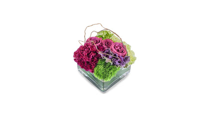Magenta Garden