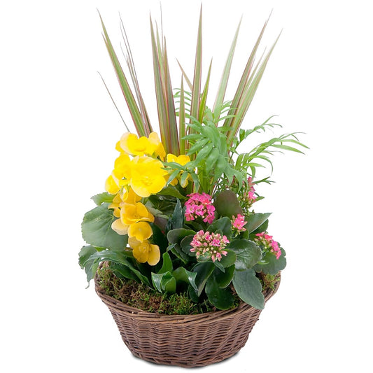 Bloomin' Sunshine Basket