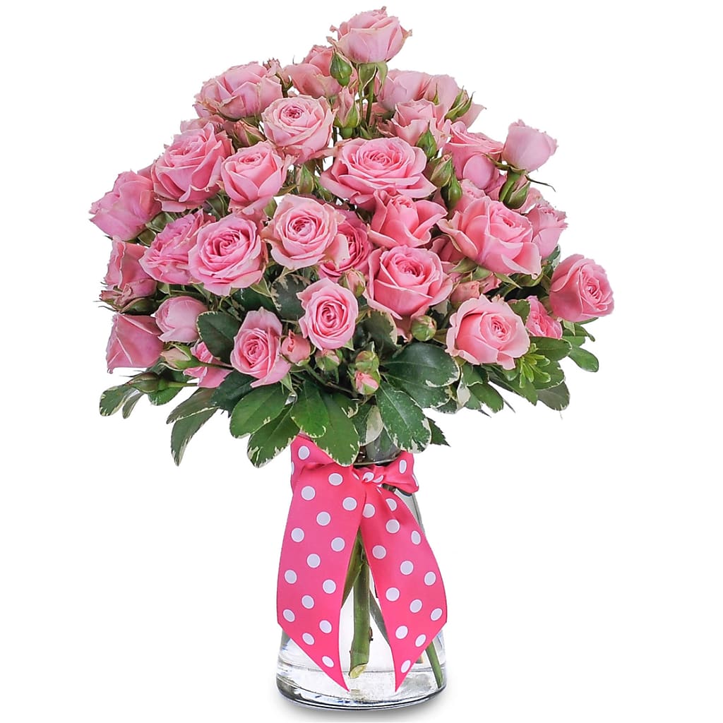 Pink Twinkledotted