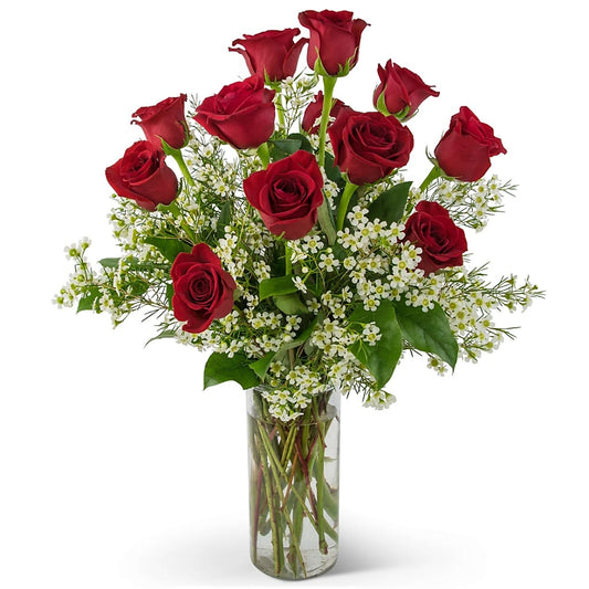Swoon Over Me Dozen Red Roses