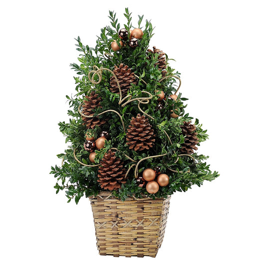 Boxwood Treasure