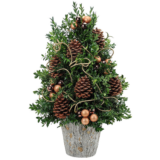 Boxwood Supreme