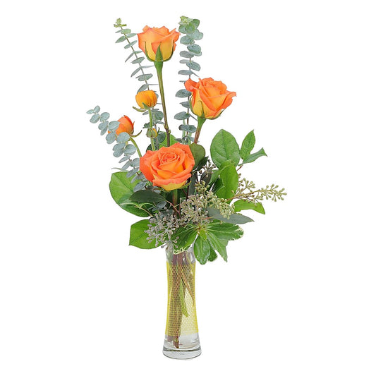 Orange Simplicity
