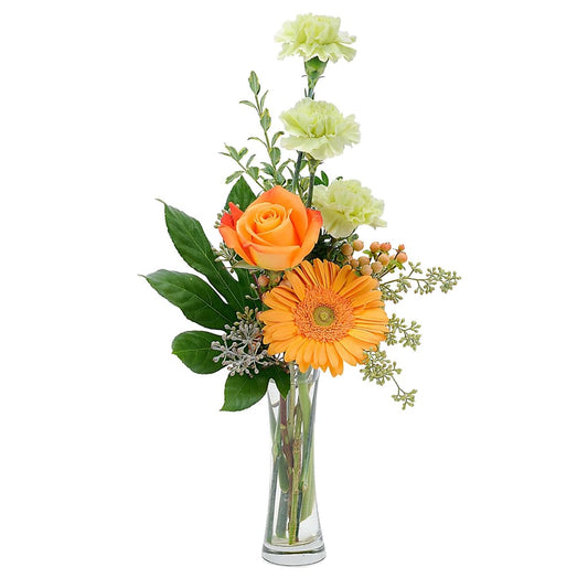 Orange U Glad