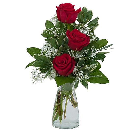 Simply Roses
