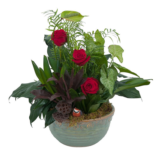 Rosy Dish Garden