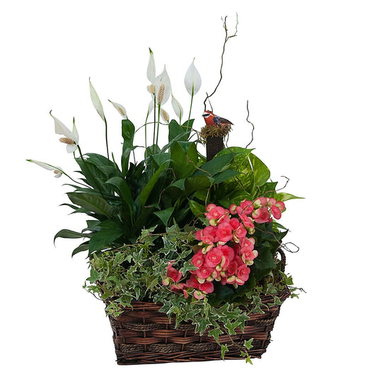 Living Blooming Garden Basket