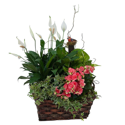 Living Blooming Garden Basket