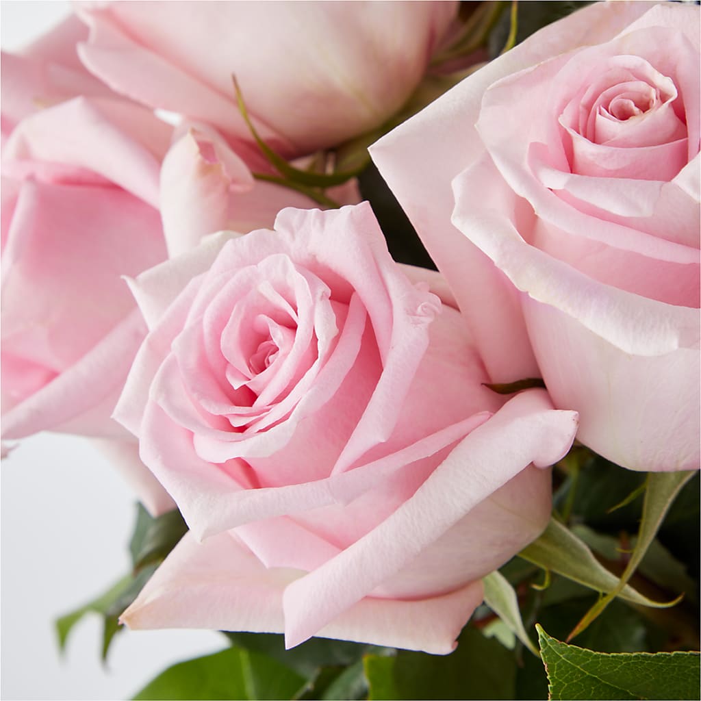 Picture Perfect Pink Rose Bouquet – VIC'S FLORAL INC, Cleveland OH