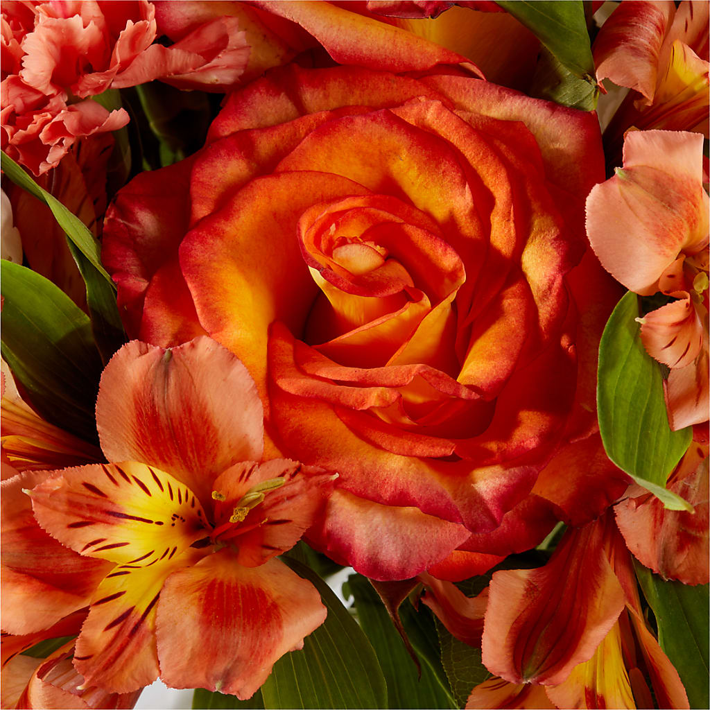 Apricot Glow Bouquet – VIC'S FLORAL INC, Cleveland OH