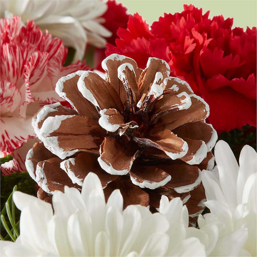 Candy Cane Lane Bouquet – VIC'S FLORAL INC, Cleveland OH