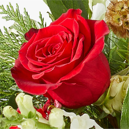 Deck the Halls Bouquet – VIC'S FLORAL INC, Cleveland OH