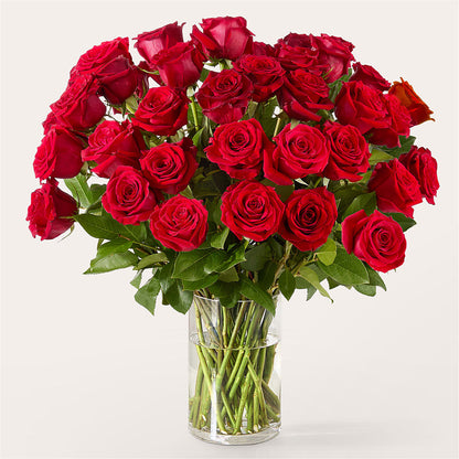 The One Red Rose Bouquet – VIC'S FLORAL INC, Cleveland OH
