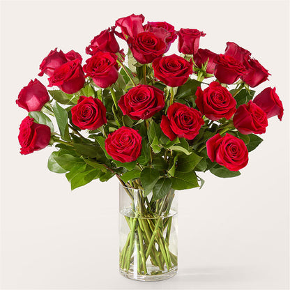 The One Red Rose Bouquet – VIC'S FLORAL INC, Cleveland OH